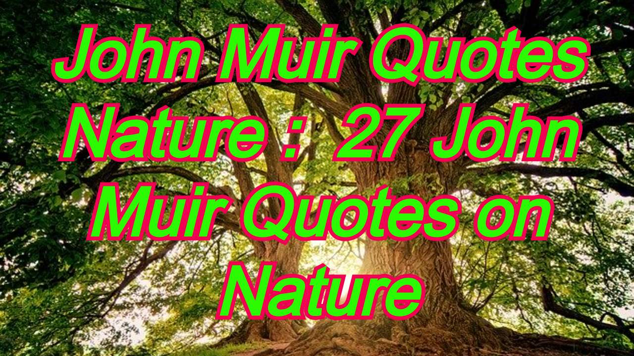 John Muir Quotes Nature