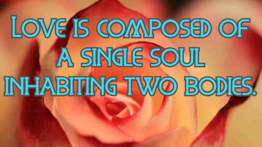 Love is composed of a single soul inhabiting two bodies. 