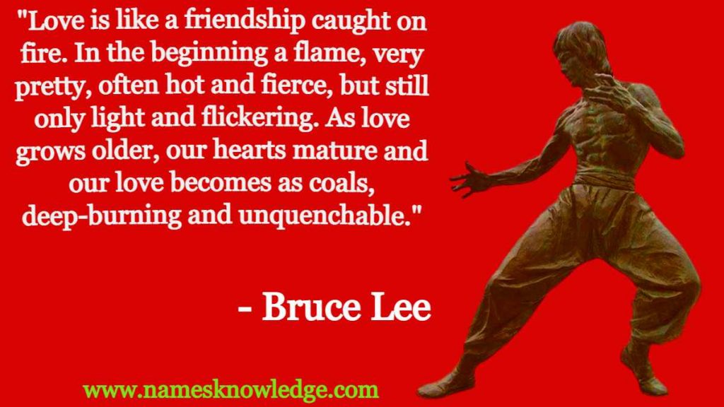 Bruce Lee Quotes Love
