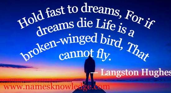 Hold fast to dreams, For if dreams die Life is a broken-winged bird, That cannot fly.