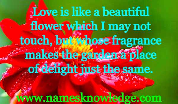 Helen Keller Quotes : Love is like a beautiful flower which I may not touch, but whose fragrance makes the garden a place of delight just the same.