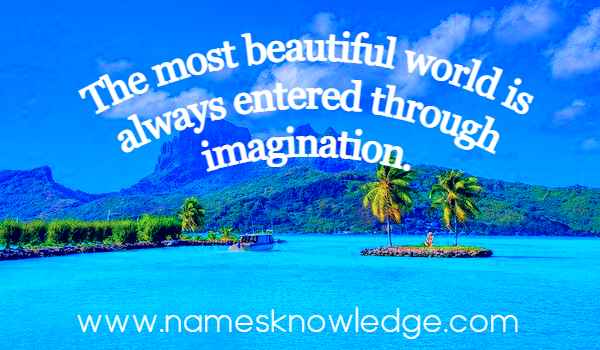 The most beautiful world is always entered through imagination.