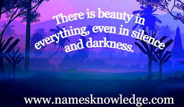 Helen Keller Quotes : There is beauty in everything, even in silence and darkness.