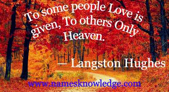 Langston Hughes Quotes : To some people Love is given, To others Only Heaven.