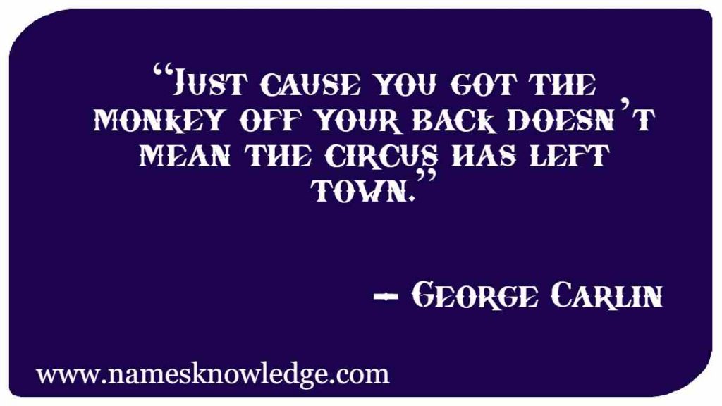 George Carlin Quotes - “Just cause you got the monkey off your back doesn’t mean the circus has left town.”