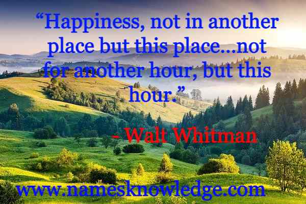 Walt Whitman Quotes - “Happiness, not in another place but this place…not for another hour, but this hour.”