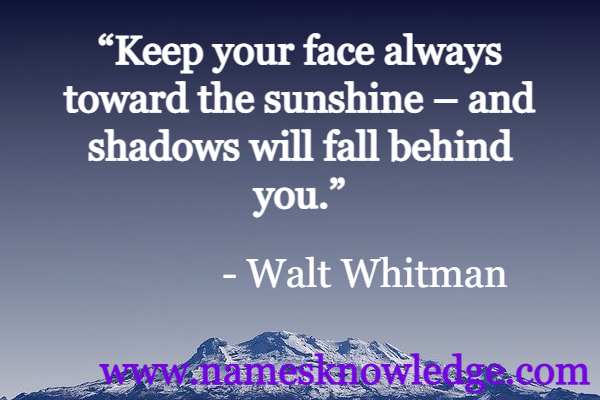 “Keep your face always toward the sunshine – and shadows will fall behind you.”