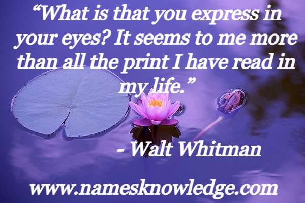Walt Whitman Quotes - What is that you express in your eyes? It seems to me more than all the print I have read in my life