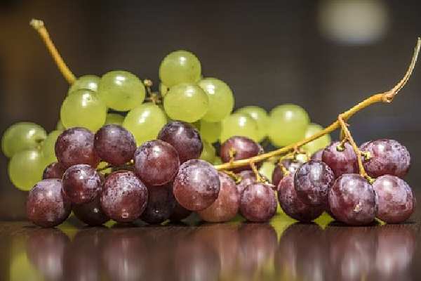 Five Fruits Name - Grapes